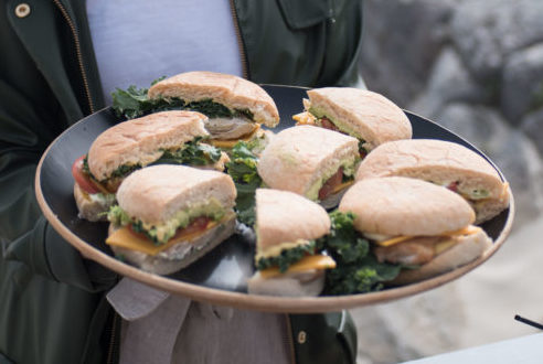 denstoltehane_5-e1530705577183